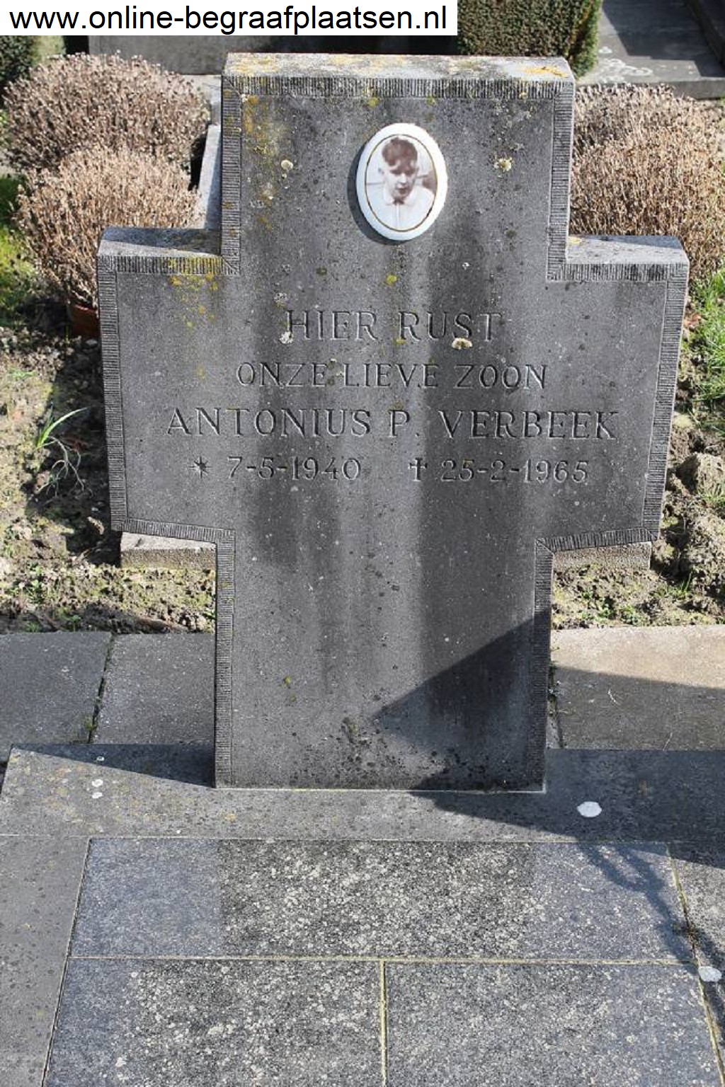 Klik voor foto in apart venster quma0009203004.jpg