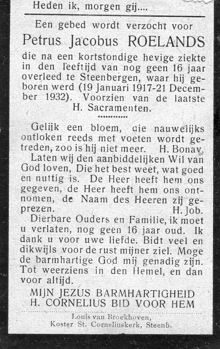 Klik voor foto in apart venster quma0014603003.jpg