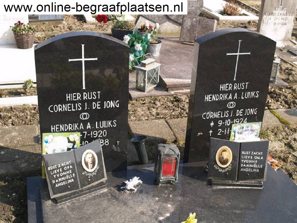 Klik voor foto in apart venster quma0036605005.jpg