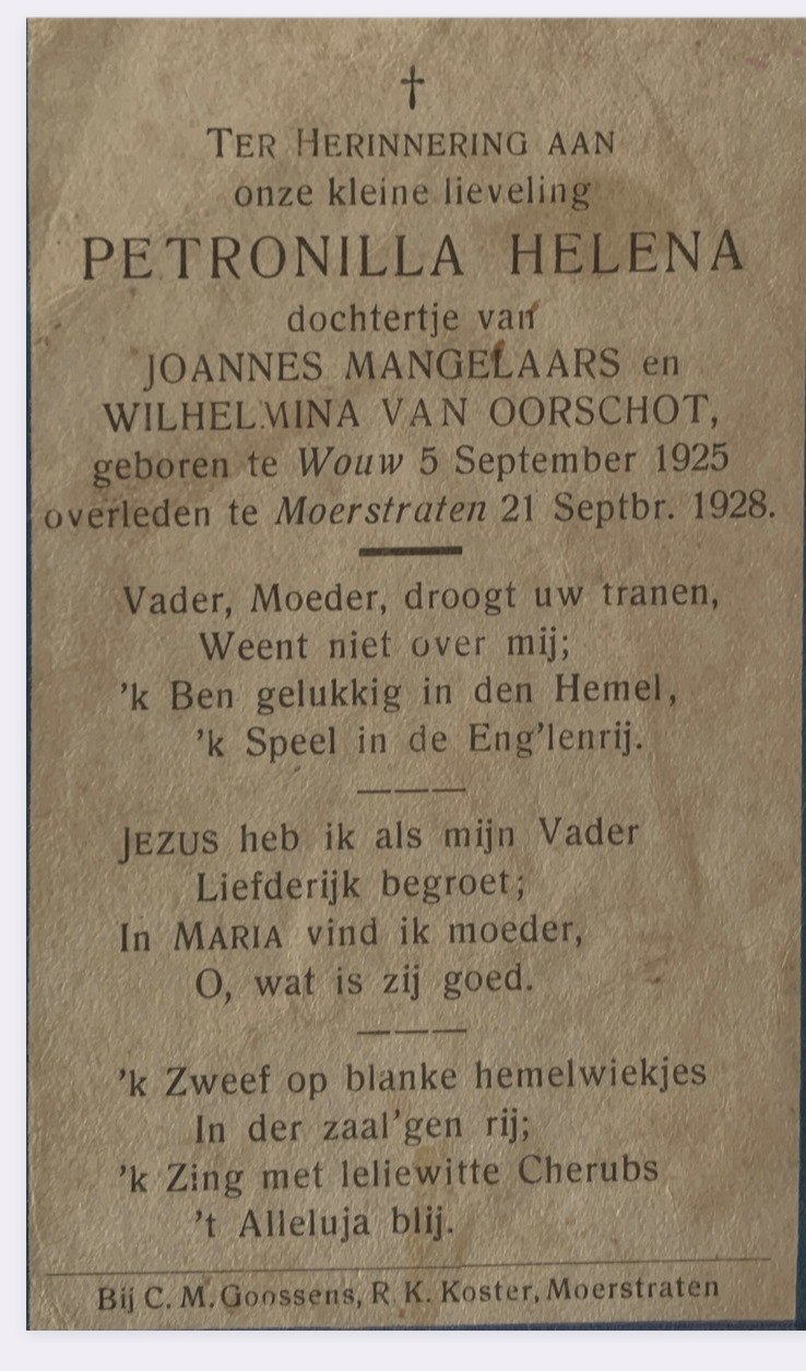 Klik voor foto in apart venster quma0064407003.jpg