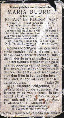 Klik voor foto in apart venster quma0067007002.jpg