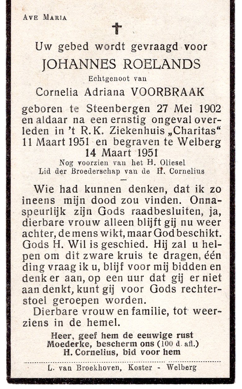 Klik voor foto in apart venster quma0036605001.jpg