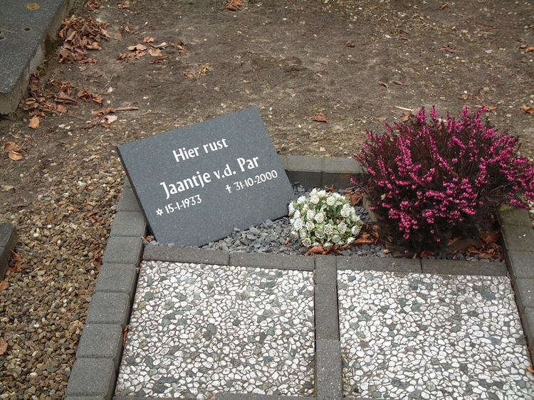 Klik voor foto in apart venster quma0002002005.jpg