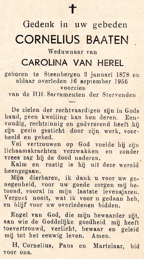 Klik voor foto in apart venster quma0067005001.jpg